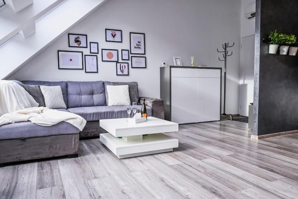 Luxury Apartment In The City Center 布拉迪斯拉发 外观 照片